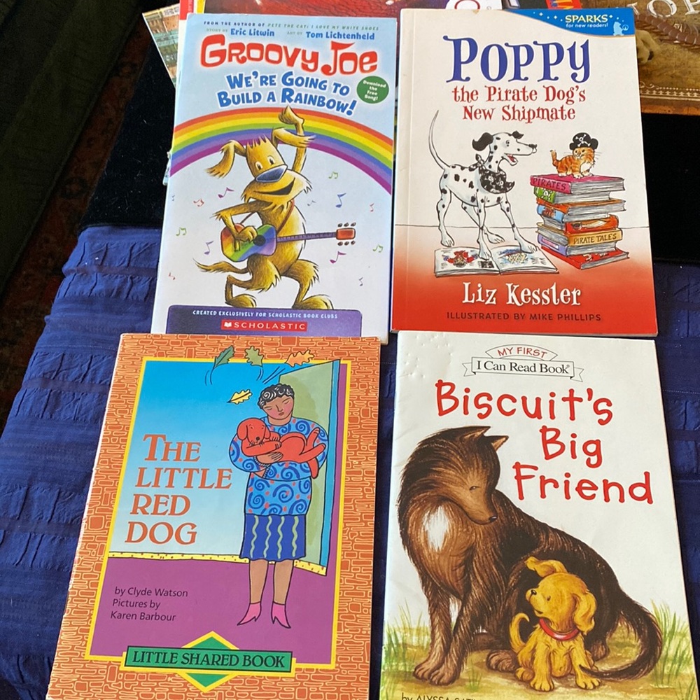 Early reader book lot 📚